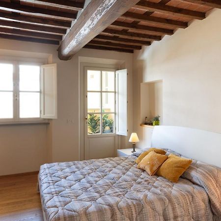Alessandra Apartment 卢卡 外观 照片